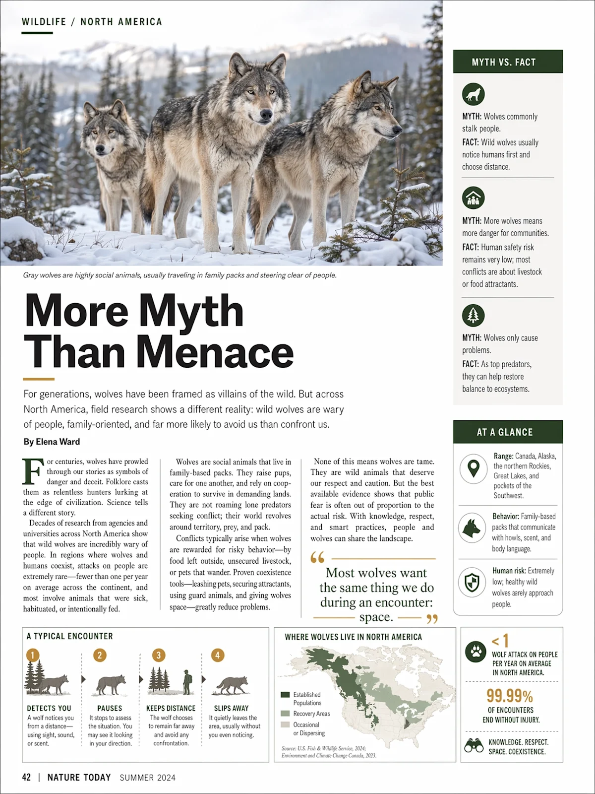 Build dense text and editorial layouts